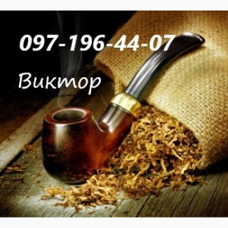Табак Кемел, Давидов, Мальборо, лапша 0, 6- 0, 8мм