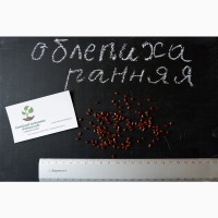 Облепиха Чуйская семена (20шт) (насіння для саджанців)семечка, косточка