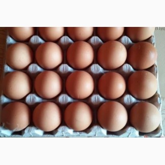 Продам яйца куриные столовые