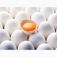 Продам яйца куриные столовые