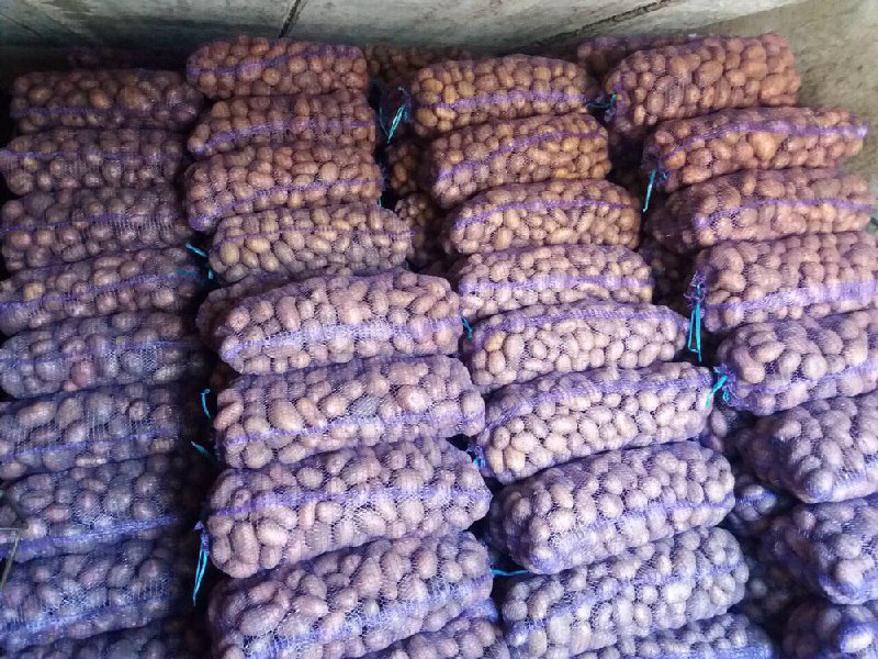 Фото 2. Продам картофель оптом по всей Украине, все сорта, лучшее качество