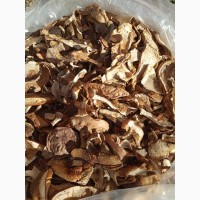 Белые лесные грибы из Закарпаття 2022 белый 2 сорт цены указаны за 1 кг