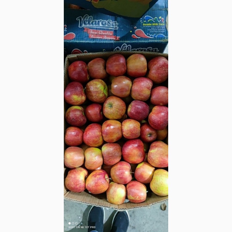 Фото 5. Продаж яблук