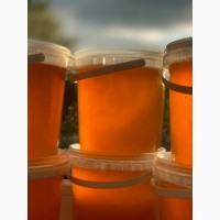 Продам мед натуральний, поліфлорний