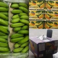 Купляємо банани зелені, газіровані оптом по всій Україні