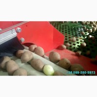 Мийка барабанна для картоплі, моркви та іншої городини, можлива комплектація абразивом
