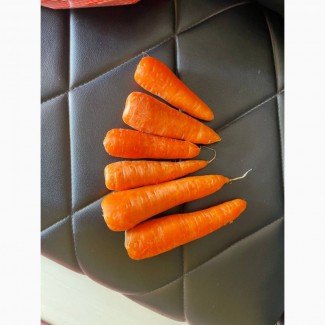 Морковь молодая морква Мытая, шлифованная, прикулинг Египет