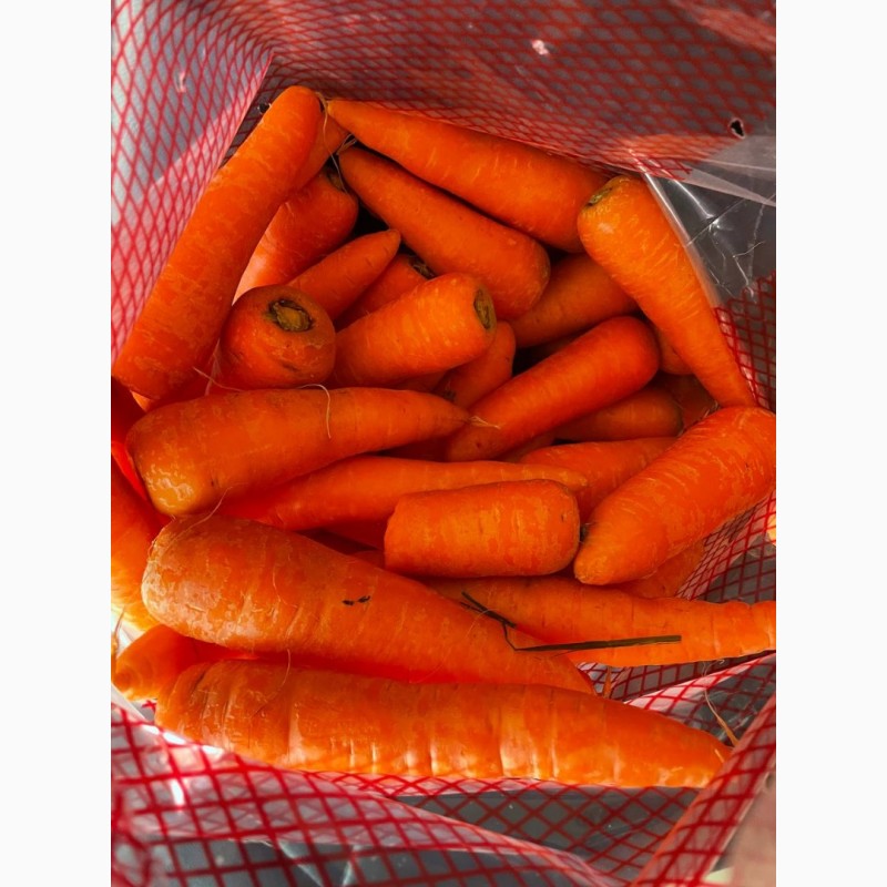 Фото 2. Морковь молодая морква Мытая, шлифованная, прикулинг Египет