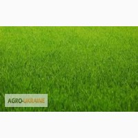 Газонная трава (суміш газонна) -спортивный, теневой, универсальный
