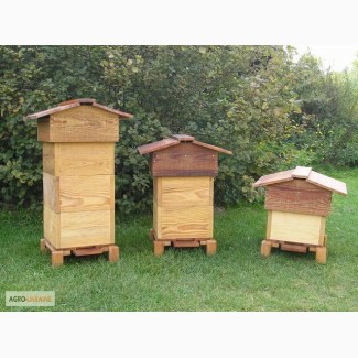 Курсы пчеловода-любителя