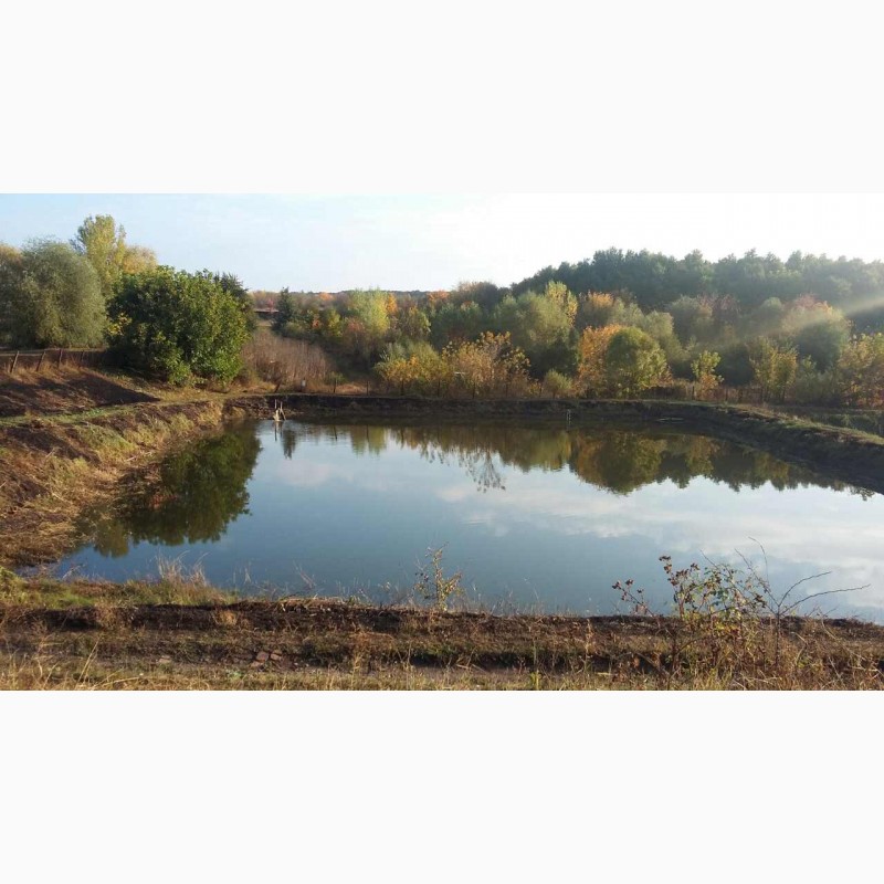 Фото 2. Продам водойом (Кіровоградська область) 64 га