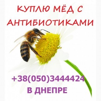 Закуповуємо мед проблемний без аналізів з доставкою в Дніпро