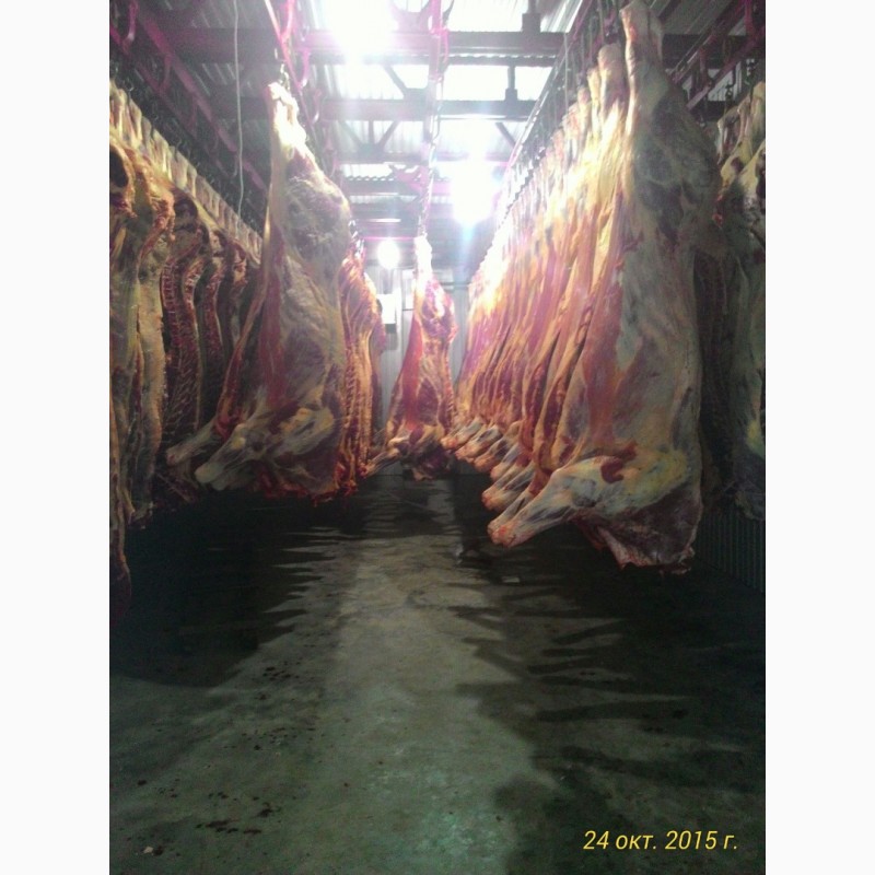 Фото 6. Свинина смаленая для торговли на рынках