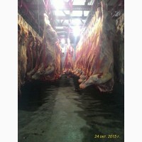 Свинина смаленая для торговли на рынках