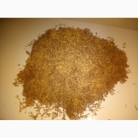 Продам тютюн, сорт Вірджинія Голд, насіння із США