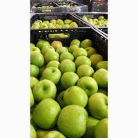 Яблоко с сада и хранилища урожай 2021