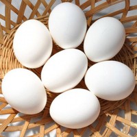 Куриные яйца бройлеров