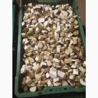Продам заморожені Білі гриби цілі та кубик