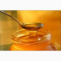 Покупаем Мёд на всей территории Украины