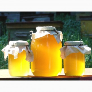 Продам мед в Донецке