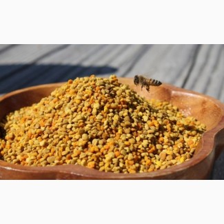 Закупаем натуральную цветочную пыльцу оптом по цене 100грн/кг