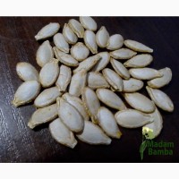 Гарбуз Смугастий Глечик - насіння гарбузове соковитий сорт - 20шт