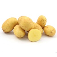 Продам насіння картоплі сорту Гранада у роздріб