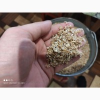 Продам Крупу пшеничну для тварин, виготовлену вальцевою плющілкою