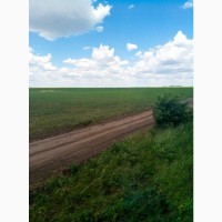 Продам два земельних пая 14, 5 Га в Житомирській області, Ружинський район