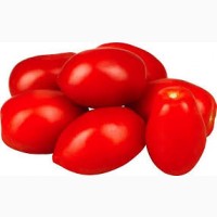 Куплю томат на переробку типу сливка