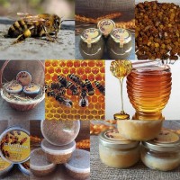 Продукты Пчеловодства Витаминные Комплексы