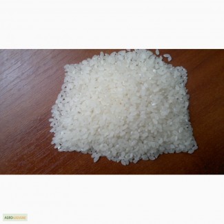 Продам рис Херсонский сорт Флагман