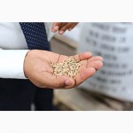 Продаем фуражное зерно с доставкой по Украине и на экспорт