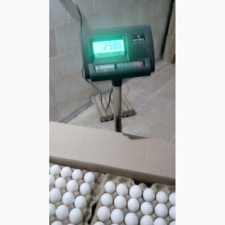 Продам яичный порошок, произведенный из яиц собственной птицефабрики