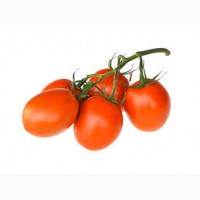 Продам помидоры крупным оптом