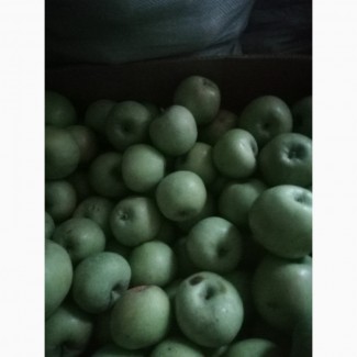 Продам яблука гренні сміт