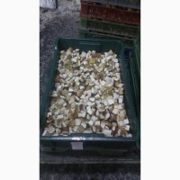 Продам заморожені гриби білі