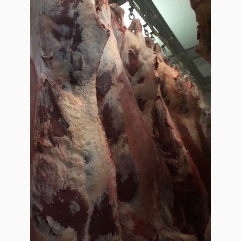 Фото 2. Продам свинину и говядину замороженную от производителя с 5 тонны