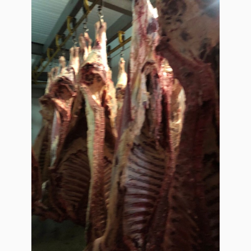 Фото 6. Продам свинину и говядину замороженную от производителя с 5 тонны