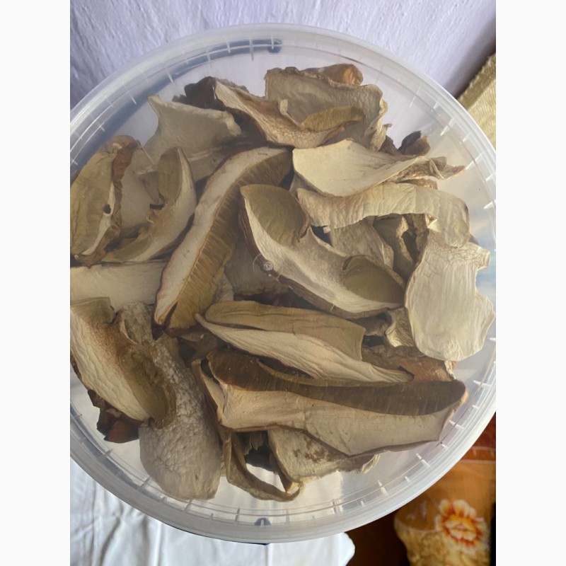 Фото 2. Продам сушені гриби
