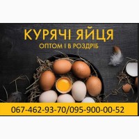 Яйця курячі столові різних категорій від виробника
