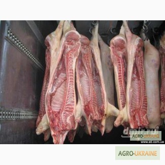 Продам туши полутуши свинины тонна две в неделю можно и меньше и больше, можно мясо сало в