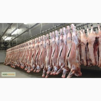 Импорт свинины, курятины, говядины, индюшачье.Мясо Субпродукты, фарш. Охлажденная свинина