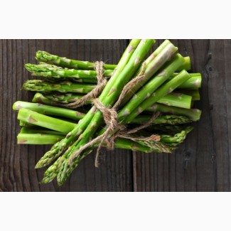 Реализую Спаржу/Asparagus, сорт argental