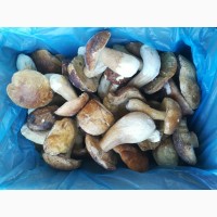 Продам гриб білий 2 сорт