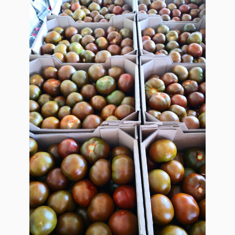 Фото 3. Продам овощи и фрукты от поставщика с 5 тонн