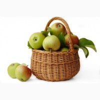 ТОВ НИКИ-ТРЕЙД закупает яблоко на переработку, урожай 2020 г