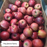 Продам яблука асортимент великий об#039;єм