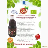 Гранатовый органический сок прямого отжима с Азербайджана с кошерным сертификатом тм. Jale