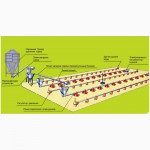Линии кормления для напольного бройлера (индюка, утки) фирмы CODAF